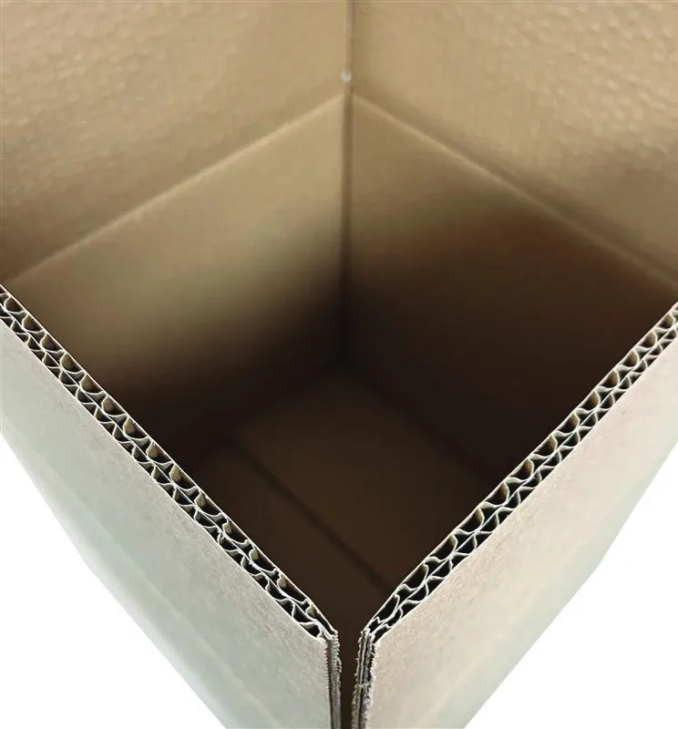 Double-walled carton box